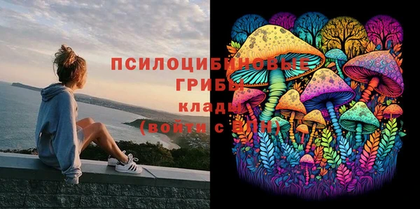 таблы Алексин