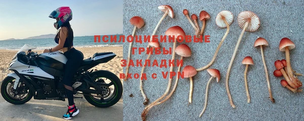 таблы Алексин