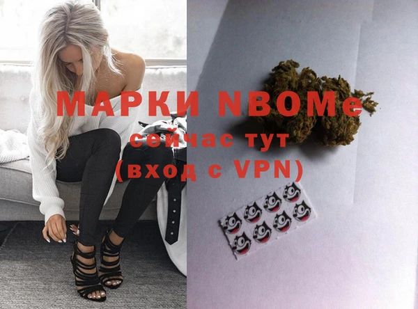 индика Алексеевка